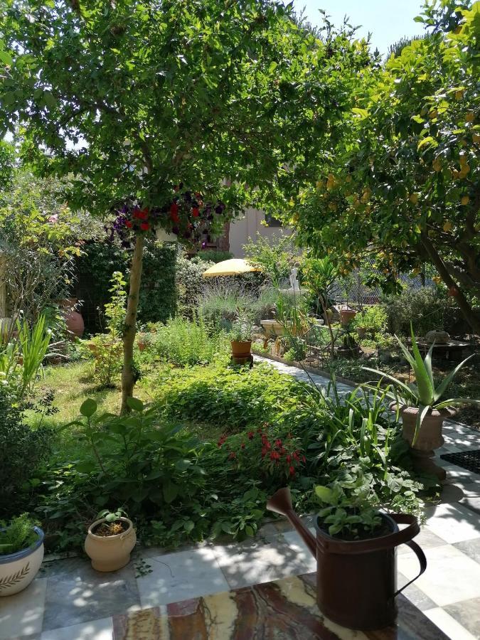 Eco Pisa Tower Guesthouse Exterior foto